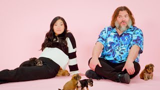 Jack Black and Awkwafina The Puppy Interview [upl. by Levana574]