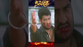 shorts  NTR Telugu All Time Mass Action Fight Scene simhadri movie simhadri4k bhumika ytshots [upl. by Velick]