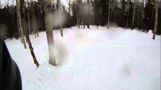 Bretton Woods  Enchanted Bear Minahans Ridge  Mar 15 2014 [upl. by Corri43]