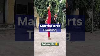 Martial Arts Training shorts [upl. by Erreit]