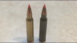 223 55 grain vmax vs 60 grain vmax [upl. by Atterehs]