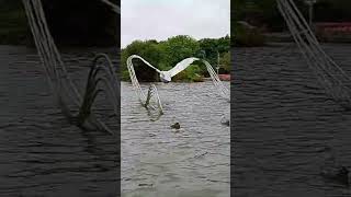 Boating lake in Newquay [upl. by Boyse]