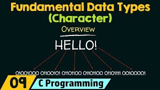 Fundamental Data Types − Character [upl. by Aisatsana689]