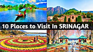 10 Famous Places to Visit in Srinagar District  Srinagar Famous Tourist Attractions  The Honest [upl. by Lareena967]