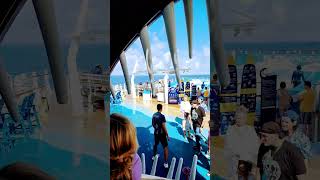 Royal Caribbean Slide [upl. by Bogusz125]