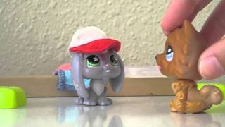 LPS Life 6 [upl. by Vite]