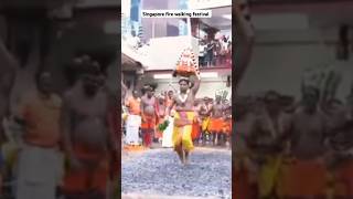 Singapore fire walking festival 2024 mariyamman kovil chinatown [upl. by Torosian]