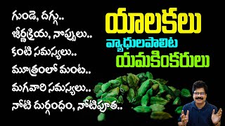 యాలకులు వ్యాధులపాలిట యమకింకరులు Health Benefits of CardamomYalukalu DrMurali Manohar cardamom [upl. by Tdnaltroc]