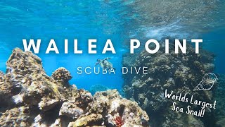 SCUBA DIVING AT WAILEA POINT  Maui scuba diving adventures  Kaimana Conservation [upl. by Phillida663]