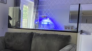 Waterbox peninsula 7225 860L reef aquarium build Ep1 Aquascape [upl. by Annahsed]