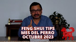 Feng Shui Tips  Estrellas Voladoras Octubre 2023 Perro de Agua [upl. by Landes]