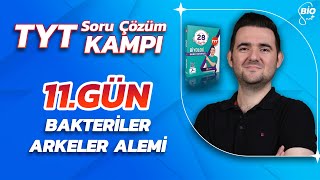 Bakteriler Arkeler Soru Çözümü  21 Günde TYT Biyoloji Kampı11 [upl. by Archie483]