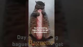 Baguette cat Day 4 [upl. by Trawets]