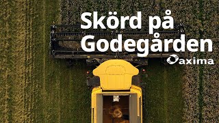 Skörd på Godegården  Ekologiskt New Holland CR 890 och Honeybee skärbord [upl. by Asilad195]