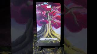 ASMR Tarot Card of the Day Pull Tarot Landscapes [upl. by Ellitnahc694]