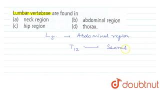 Lumbar vertebrae are found in [upl. by Jacintha5]