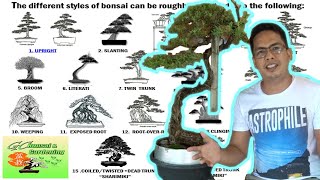 The different Styles of Bonsai Explained Beginners Guide [upl. by Kataway779]