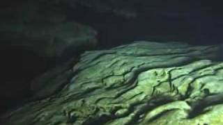 Ginnie Springs  Hill 400 tunnel Florida Cave Diving [upl. by Rundgren]