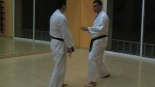 Bunkai kata Heian Nidan [upl. by Violet]