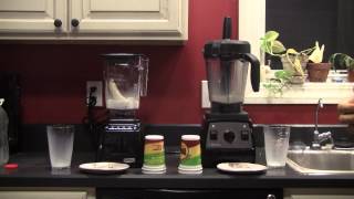 Vitamix Pro 300 Vs Blendtec DesignerSeries Frozen Banana and Milk [upl. by Nitnilc771]