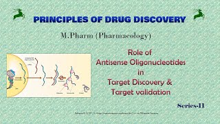 Role of Antisense Oligonucleotides in Target discovery and validation  Series 11 [upl. by Gerianna]