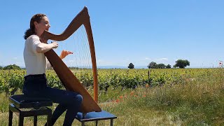 Turlough OCarolan quotGeorge Reynoldsquot on Celtic Harp Keltische Harfe [upl. by Eiramenna]