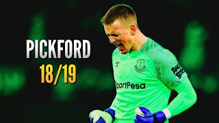 Jordan Pickford ● Saves Compilation ● 201819｜HD [upl. by Herstein]