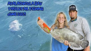 Morning of Tripletail fishing in Apalachicola Bay June 2023 [upl. by Gayl]