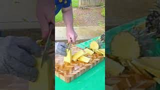 Fastest time to peel and slice a pineapple 🔪🍍 1785 seconds by Rich Ellenson 🇺🇸 [upl. by Noelc639]