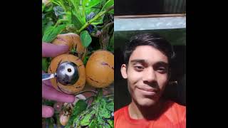 Reaction food ✅✅✅ naturallifeb fruit satisfying naturalclips naturelife fruitcutting jackfr [upl. by Eicnahc]