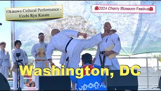 🇺🇸DC🌸Sakura Matsuri🥋Okinawa Uechi Ryu Karate [upl. by Mariska]