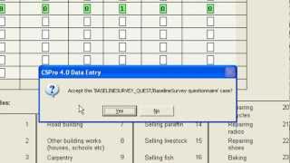 8 Testing the CSPro data entry system [upl. by Irret]