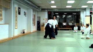 HD  Aikido Shihan Claude Berthiaume Sensei  2010 Canada Montreal  Shomenuchi Sudori [upl. by Arodal536]