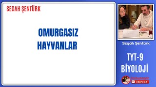 OMURGASIZ HAYVANLAR  TYT BİYOLOJİ  9SINIF BİYOLOJİ  YKS 2025 [upl. by Anayhd353]