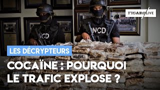 Cocaïne  pourquoi le trafic explose en France [upl. by Ahsaten]