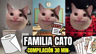 FAMILIA CATO  compilación 30 minutos meme de gatos [upl. by Setsero]