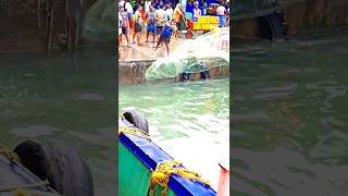 🇮🇳 KERALA FISHING 🐟🐠youtubeshorts viralvideo [upl. by Loralie]