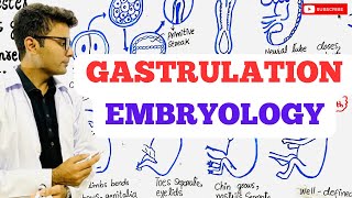 Embryology  Gastrulation [upl. by Mast395]