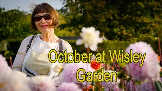 Vlog 125  October at Wisley garden [upl. by Yojenitsirk]