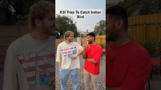 KSI Tries To Catch Indian Bird [upl. by Scrivenor]