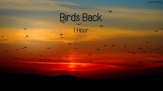 Bird Back  Leevi9 1 Hour quotNOSTALGIAquot [upl. by Nnylanna]