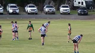 Wimmera FNL RD9 2024 Dimboola vs Minyip Murtoa [upl. by Pape286]