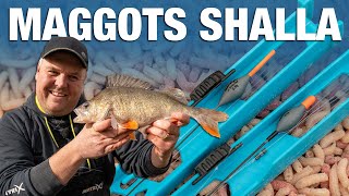 Maggot Shallow Rig  No Nonsense Guide  Jamie Hughes [upl. by Bonaparte412]