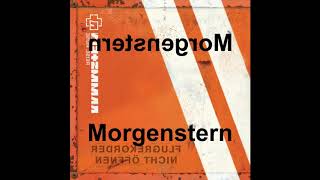 Rammstein  Morgenstern Reversed [upl. by Lletram]