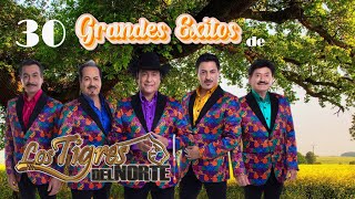 MIX TIGRES DEL NORTE VOL1 NORTENOS  Puras Nortenas Mix 🔥 Nortenas Famosas Mix Album Completo [upl. by Ecirpac]