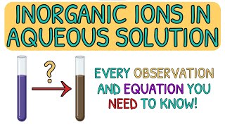 EVERY Inorganic Aqueous Ion OBSERVATION and EQUATION You NEED To Know｜A Level Chemistry AQA [upl. by Medlin]