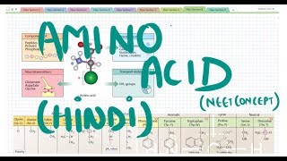 Amino acid HINDI [upl. by Yvor]