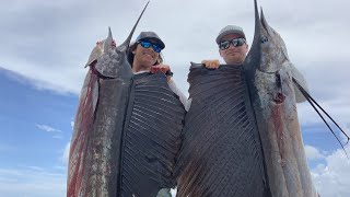 2 GIANT SAILFISH CATCH CLEAN COOK Best Fish Dip [upl. by Ylhsa839]