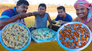 Egg Chicken Fried Rice cooking and eating  River side picnic video  Village Cooking Vlog [upl. by Tri]