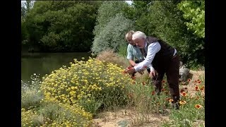 LE JARDIN ENCHANTEUR D’UN PÉPINIÉRISTE COLLECTIONNEUR [upl. by Ilatfen]